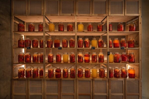 fermenting vegetables