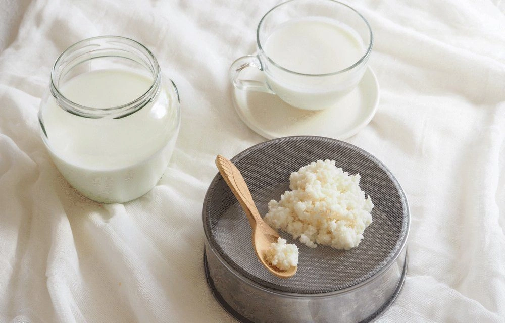Milk Kefir