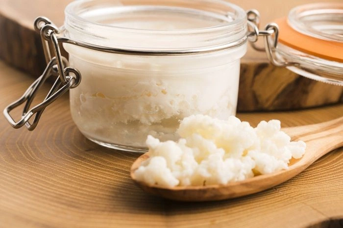 Milk kefir grains