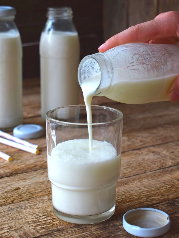 Milk Kefir