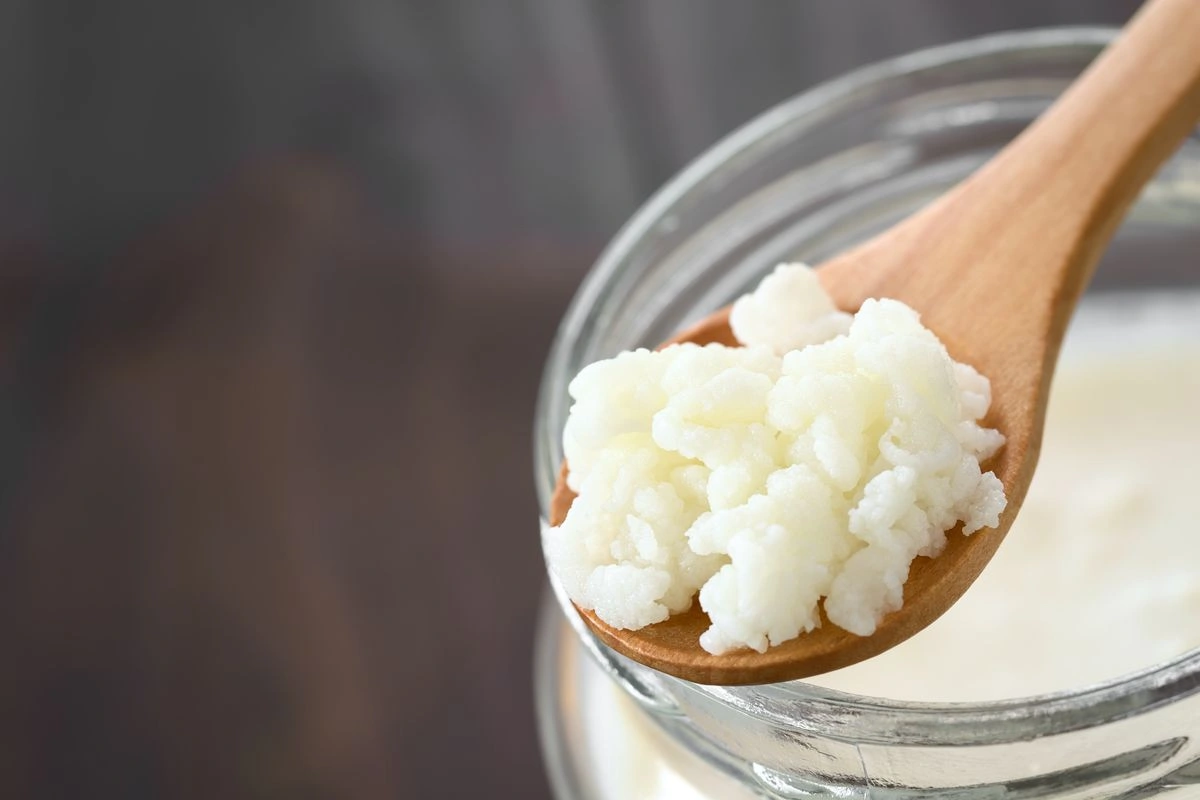 Milk kefir grains
