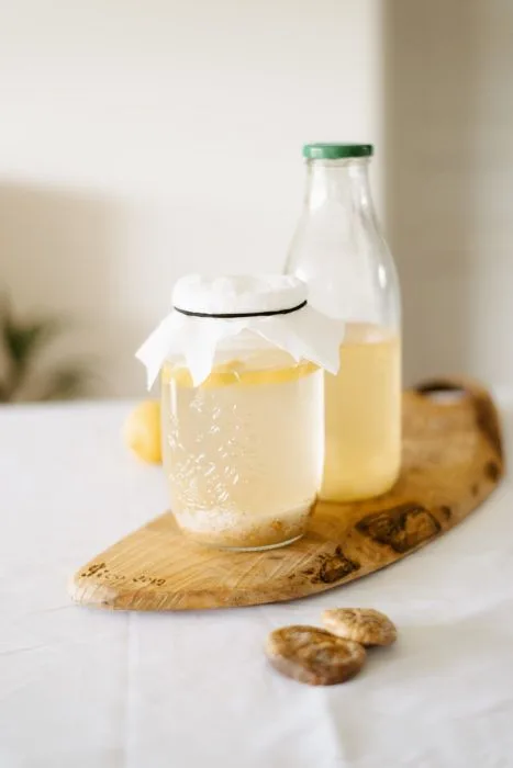 Water Kefir