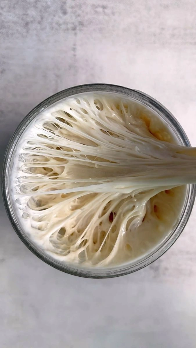 sourdough fermentation