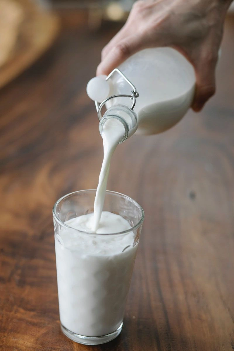 milk kefir