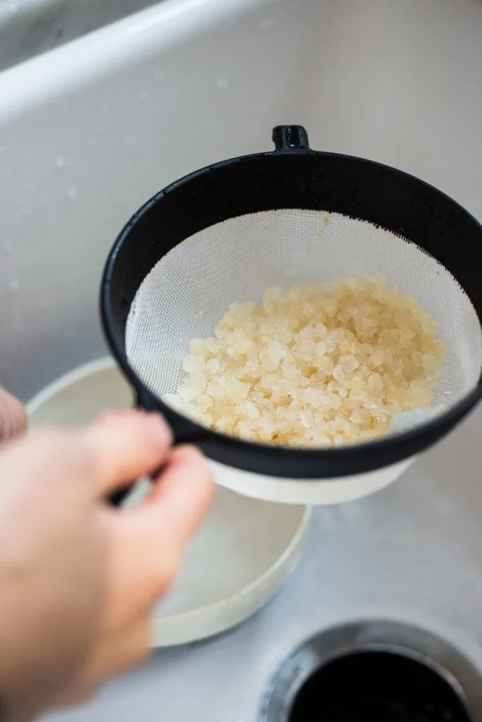Water Kefir for gut health