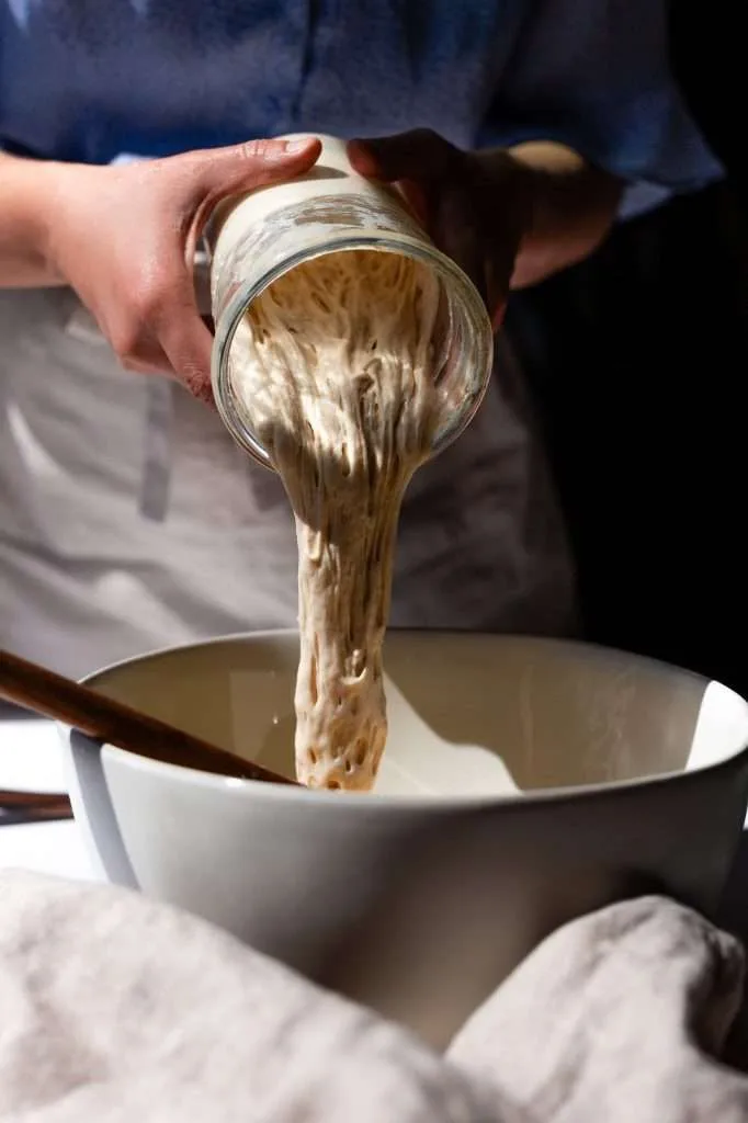 sourdough bread
