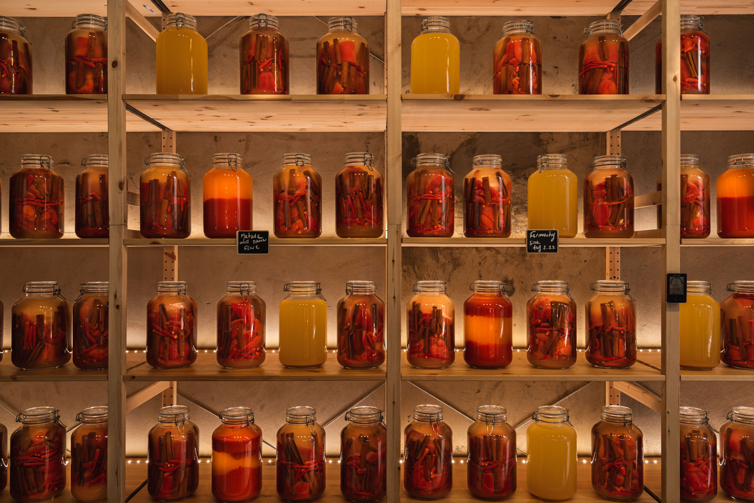 Fermented Foods Probiotic