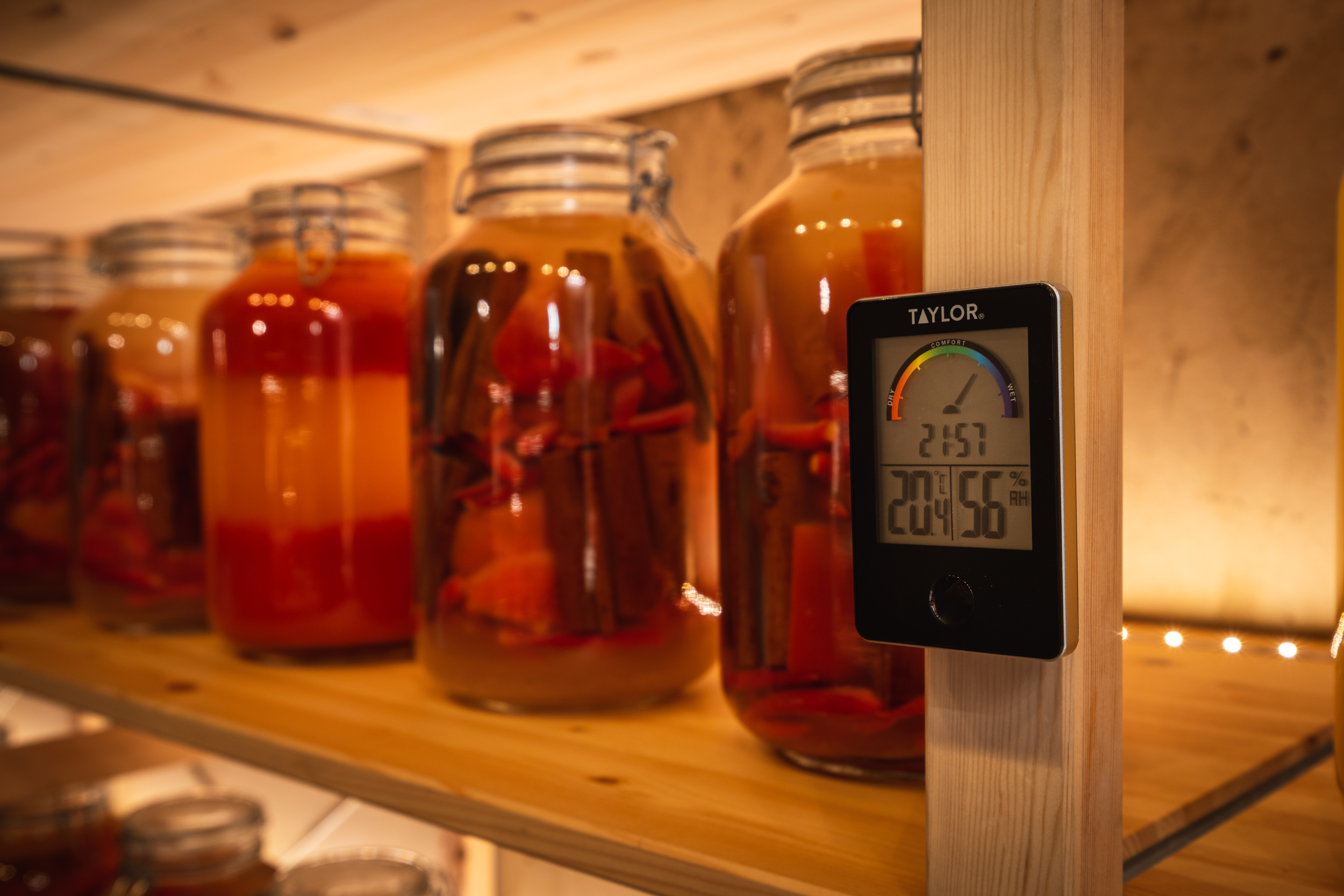 Fermented Foods