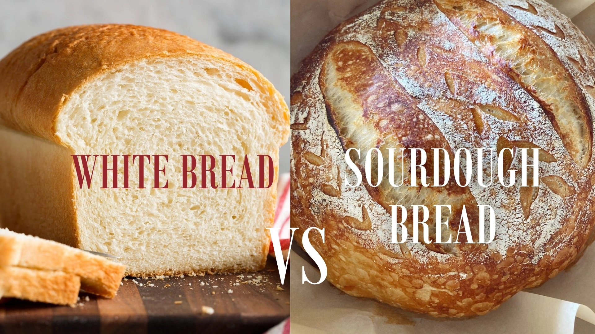 Sourdough vs Regular Bread: