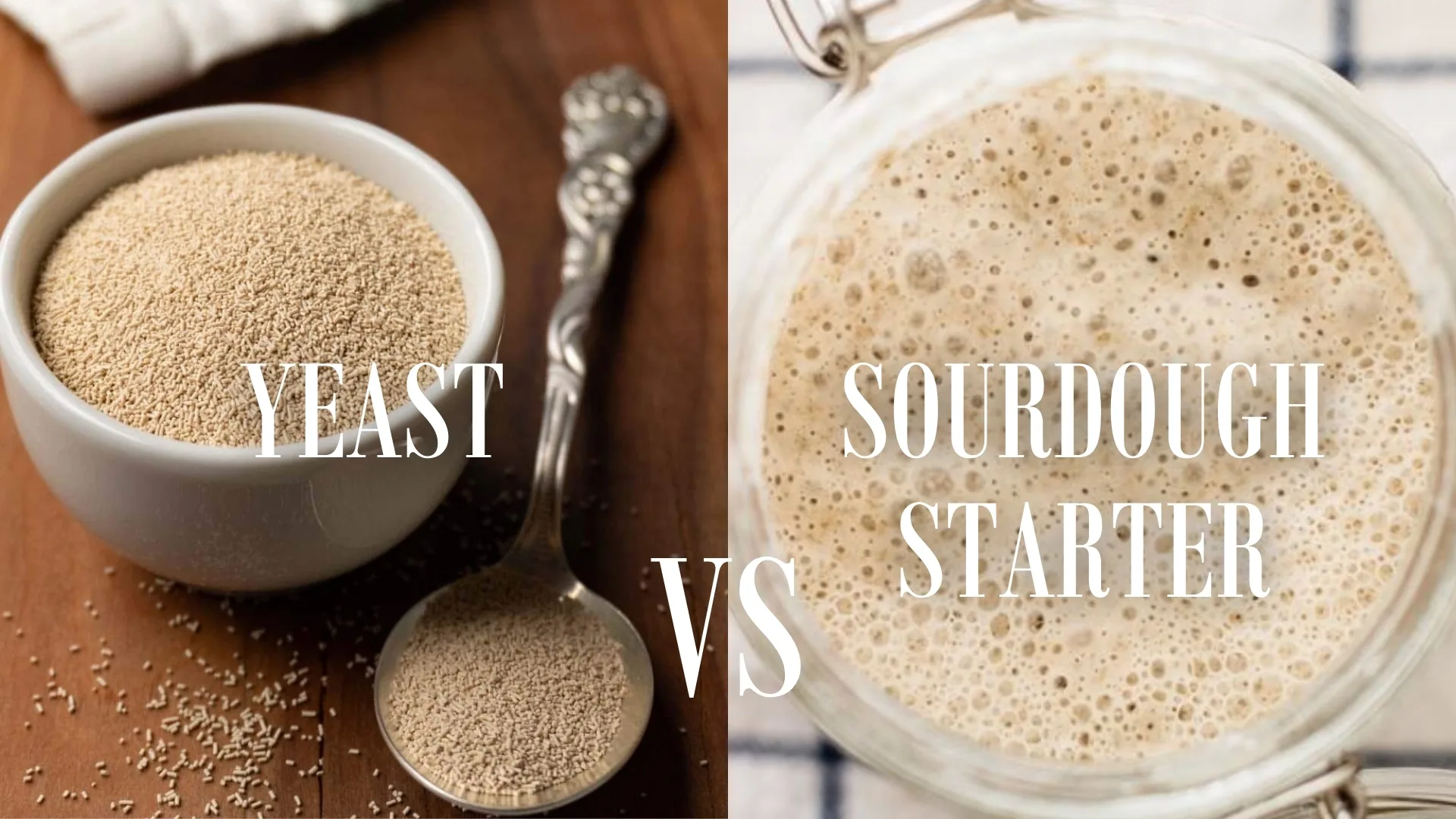 Yeast vs Sourdough Starter