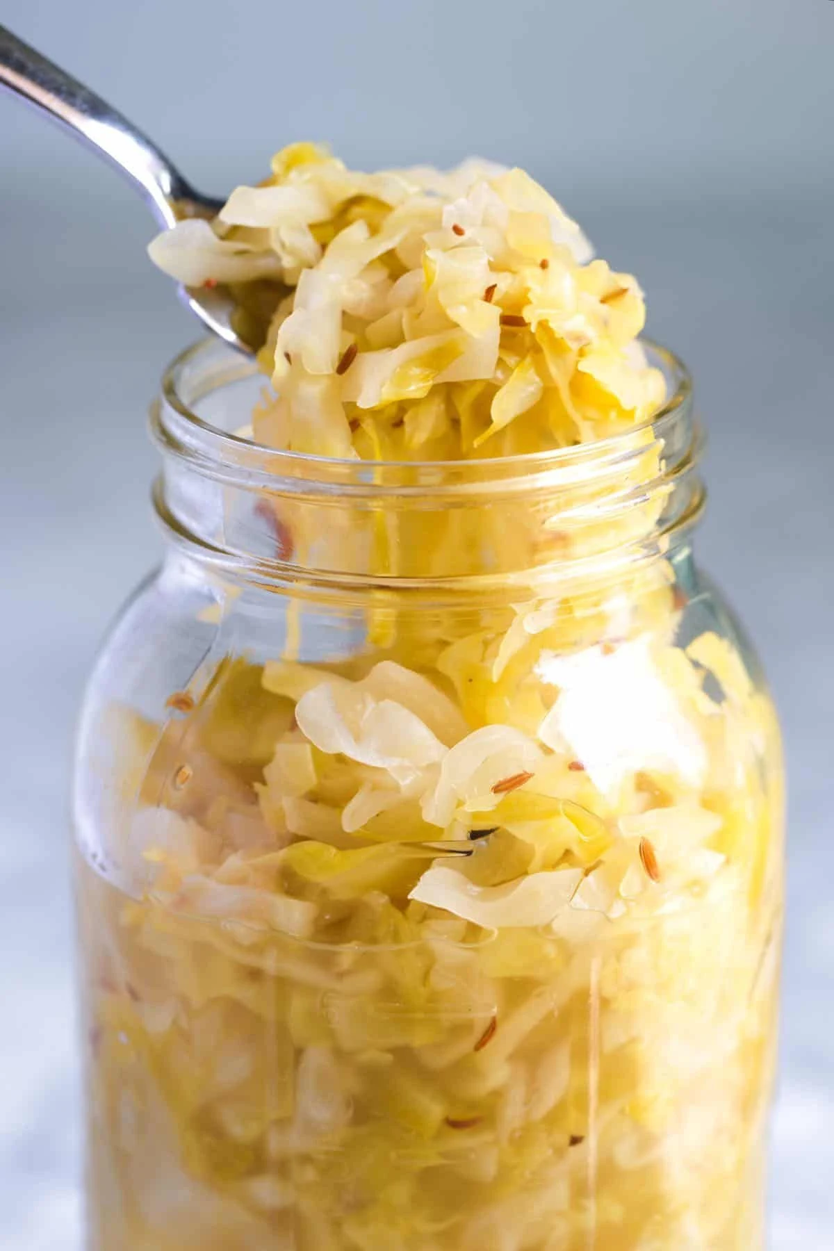 fermented vegetable