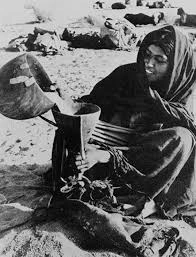 History - Milk kefir grains