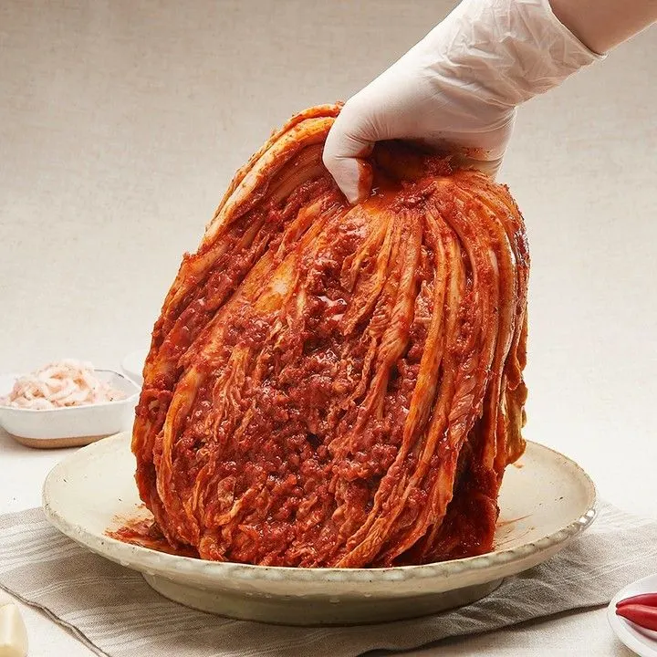 fermented kimchi